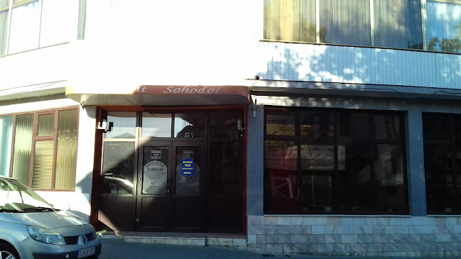 Comentarii opinii despre Restaurant SOHODOL