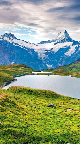 MARCO - Brutarie, Patiserie, Cofetarie - Gastronomie și ospitalitate