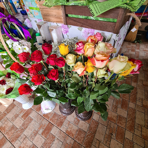 Sos. Principala Com, Snagov 077165