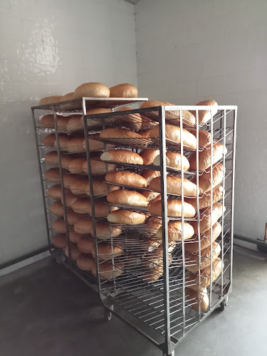 NICOLA SABB S.R.L. - Gastronomie și ospitalitate