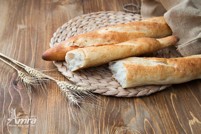 Strada Grigore Alexandrescu 79, Timișoara 300351