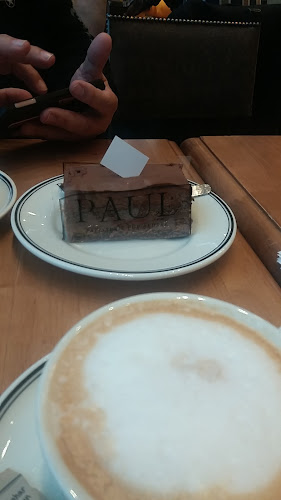 Comentarii opinii despre Paul