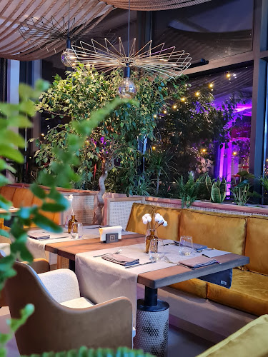 Rivo - Gastronomie și ospitalitate