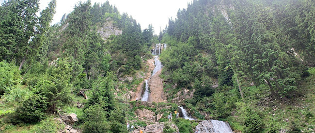 Pensiune - Restaurant - Pizzerie 2 Pauni