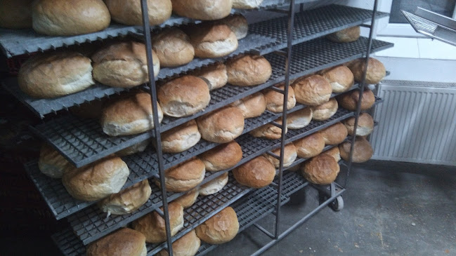 Opinii despre Brutaria Sc Agroservice Bucsa în Beudiu - Gastronomie și ospitalitate