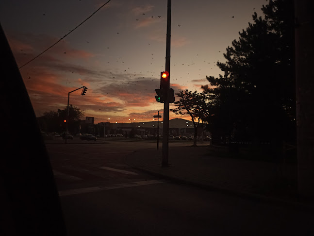 Comentarii opinii despre G-Food