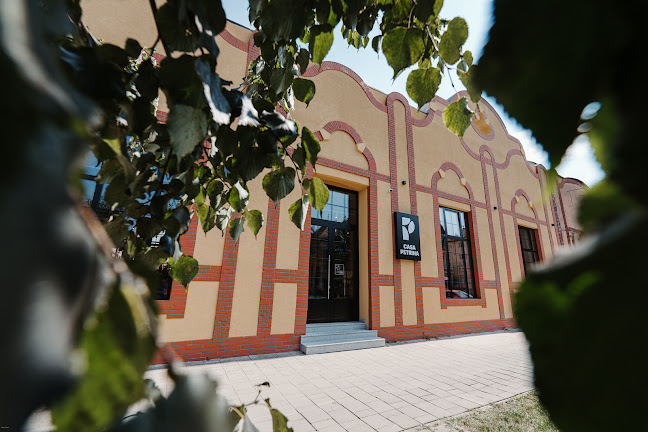 Casa Petrina - Târgu Mureș