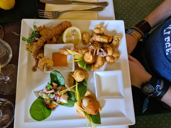 Comentarii opinii despre Marco Polo