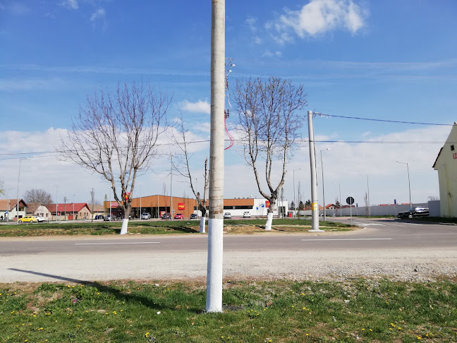 Opinii despre La Cuptorul Vrăjit în Sântana - Gastronomie și ospitalitate