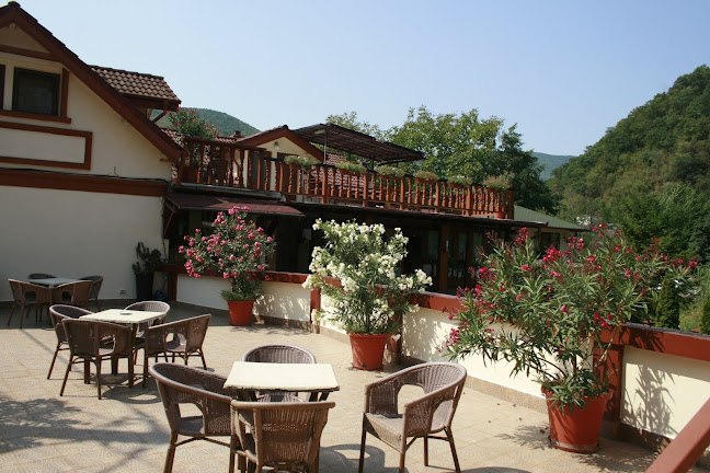 Opinii despre Pensiunea Cuibul Viselor- La Johnny în Băile Herculane - Gastronomie și ospitalitate