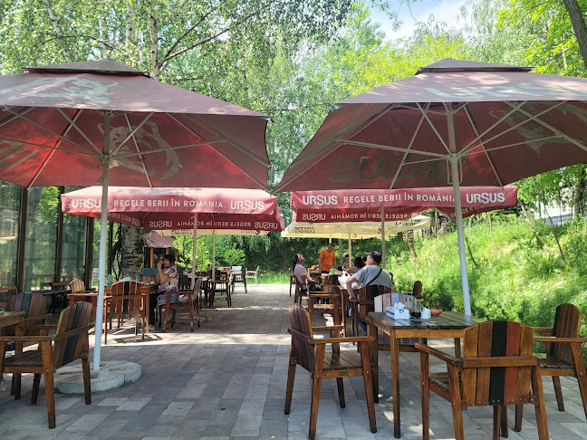 Comentarii opinii despre Restaurant Parc ''Șura lui Ilea''