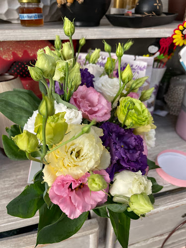 Comentarii opinii despre MaJolie