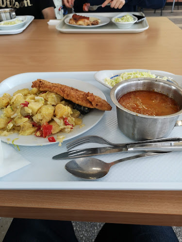 Complex Studențesc Observator, Strada Observatorului 34, Cluj-Napoca 400066