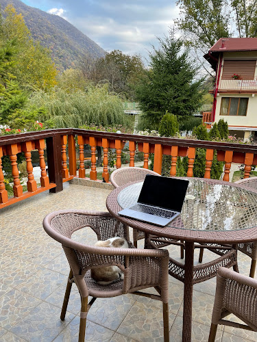 Strada Pecinișca 2, Băile Herculane 325200