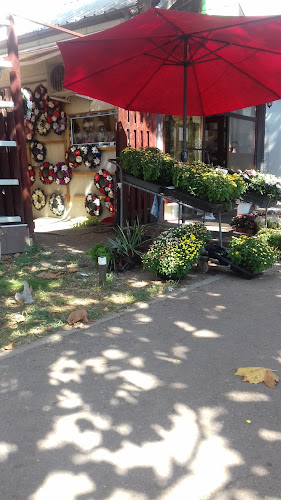 Florăria Severineanu