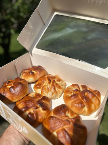 Str. Pomiculturii 50, Timișoara 300254