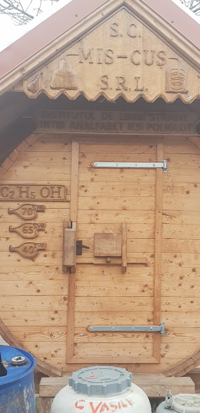 Institutul de limbi straine