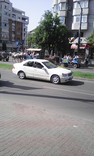 Comentarii opinii despre Pizza Royal