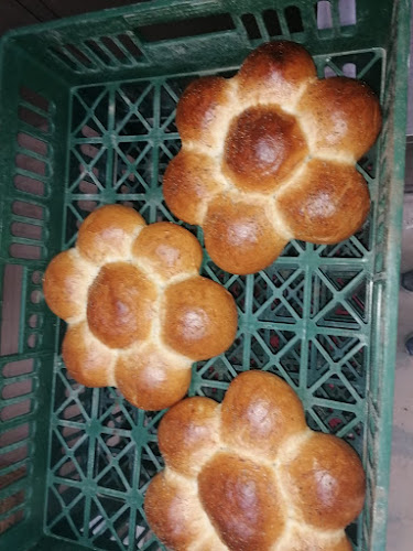 Comentarii opinii despre Brutaria Doru Grecea