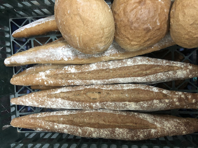 Comentarii opinii despre SC Pancomexim SRL - Brutărie Artizanală