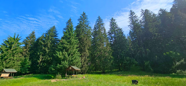 Strada Zânelor, Covasna 525200