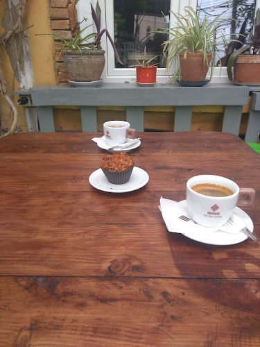 Comentarii opinii despre Cuib