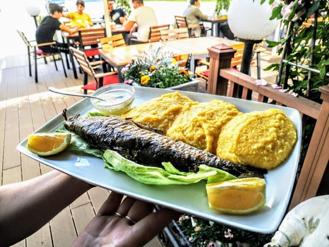 Hotel Restaurant Carul cu Flori - Oravița