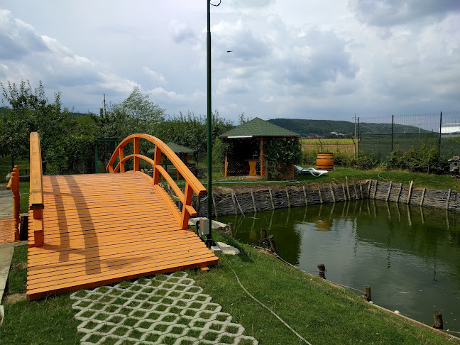 Opinii despre CATERING SHOW S.R.L. în Argeșelu - Gastronomie și ospitalitate