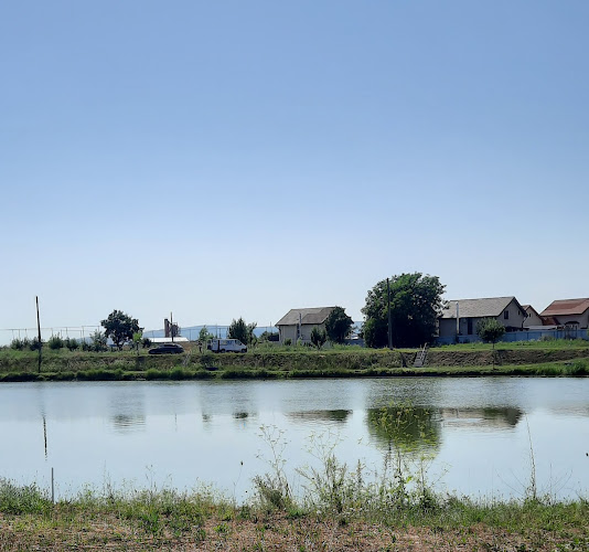 Pește Bun de la Marcel - Sâncraiu de Mureș