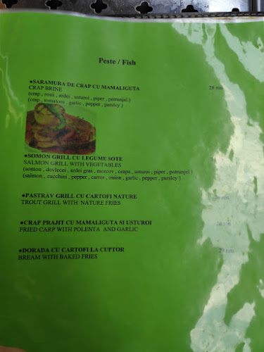 Opinii despre Enigma în Plopeni - Gastronomie și ospitalitate