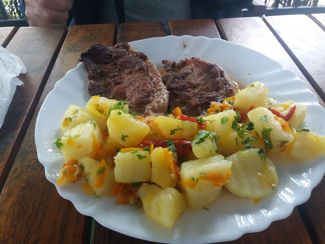 Comentarii opinii despre Restaurant Gorjeanul