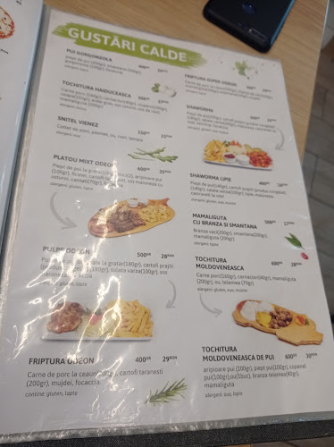 Comentarii opinii despre Restaurant Odeon