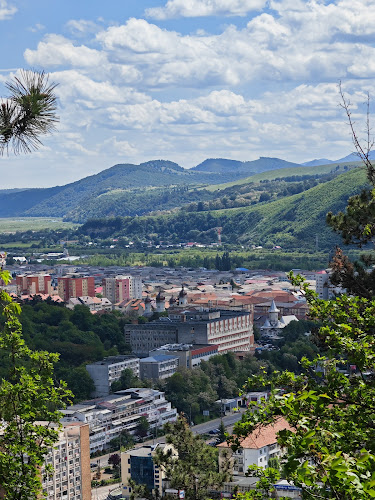 Cercul Gospodinelor - Gastronomie și ospitalitate