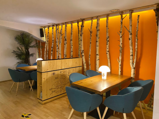 Calea Turzii 160, Cluj-Napoca 400491