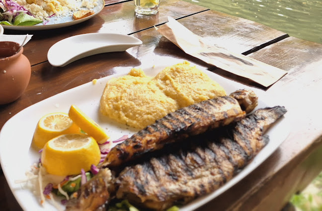 Opinii despre Păstrăvăria Alex în Mara - Gastronomie și ospitalitate