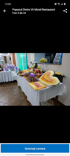 Restaurant- Motel Popasul Dintre vii - Popești