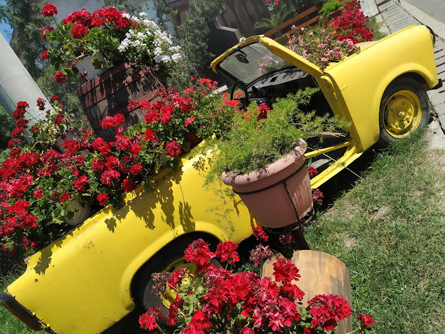 Restaurant Popas Lunca Banului - Strehaia