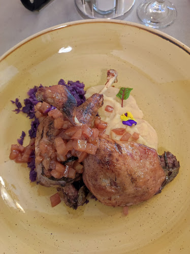 Comentarii opinii despre Rosecas