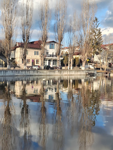 Opinii despre New Lac în Câmpina - Gastronomie și ospitalitate