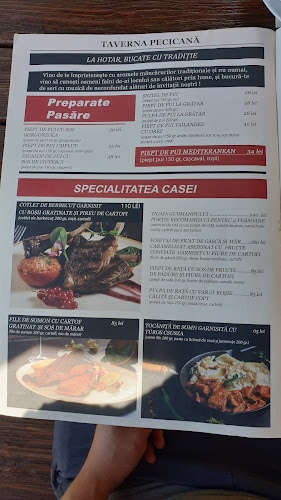 Comentarii opinii despre Taverna Pecicana