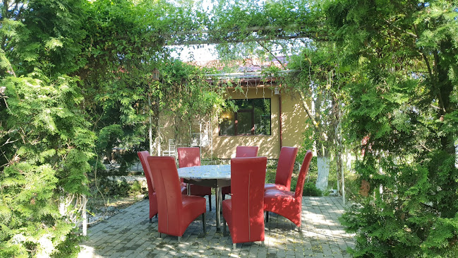 Opinii despre Flora în Filiași - Gastronomie și ospitalitate