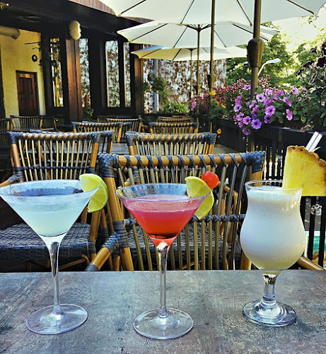 Comentarii opinii despre Oscar