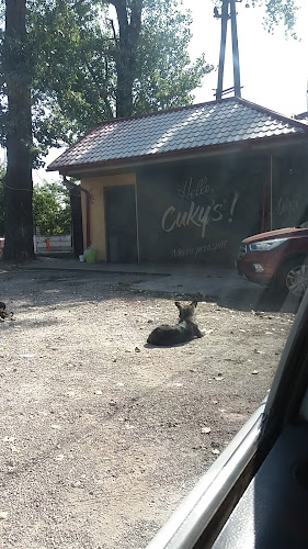 Opinii despre Hello Cuky's Smârdan în Galați - Gastronomie și ospitalitate