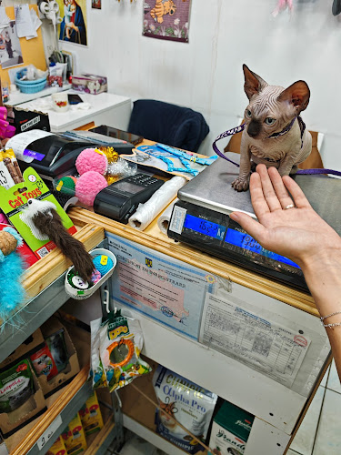 Opinii despre Piața Gemeni în București - Gastronomie și ospitalitate