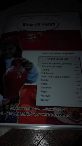 Moara cu Noroc - Satu Mare