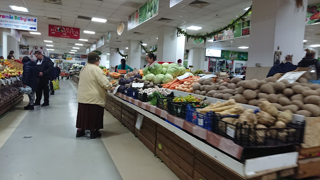 Calea Crângași 29, București 060334