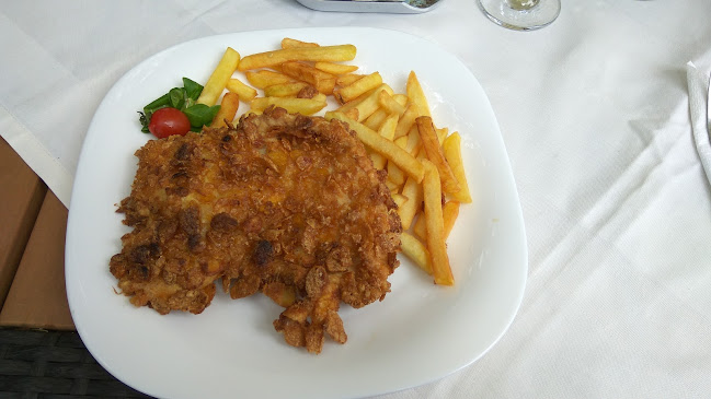 Comentarii opinii despre Cercul Gospodinelor