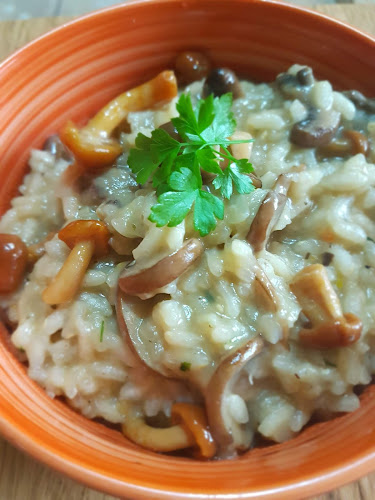 Strada Mehedinți 94, Cluj-Napoca 400000