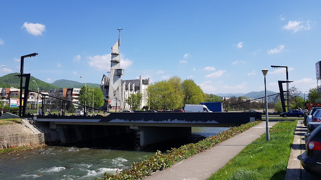 Comentarii opinii despre ROMANŢA