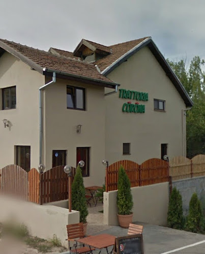 Opinii despre Trattoria Corona în Tunari - Gastronomie și ospitalitate